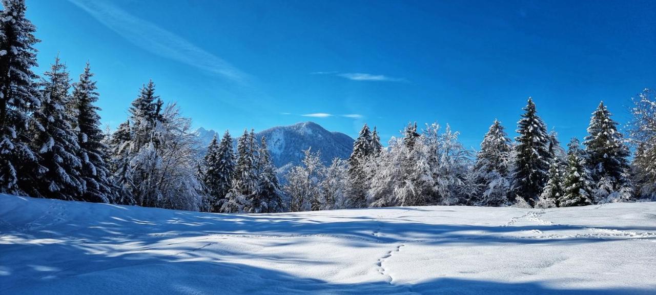 Apartma Ursic Kranjska Gora Buitenkant foto